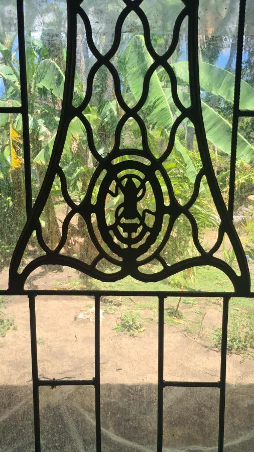 La Casa Del Artista Lägenhet Esquipulas Exteriör bild
